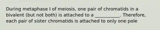 During metaphase I of meiosis, one pair of chromatids in a bivalent (but not both) is attached to a ___________. Therefore, each pair of sister chromatids is attached to only one pole