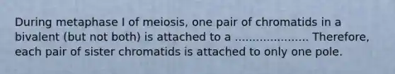 During metaphase I of meiosis, one pair of chromatids in a bivalent (but not both) is attached to a ..................... Therefore, each pair of sister chromatids is attached to only one pole.