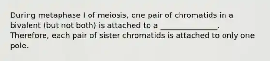 During metaphase I of meiosis, one pair of chromatids in a bivalent (but not both) is attached to a _______________. Therefore, each pair of sister chromatids is attached to only one pole.