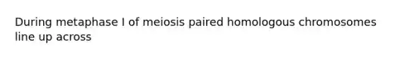 During metaphase I of meiosis paired homologous chromosomes line up across