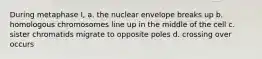 During metaphase I, a. the nuclear envelope breaks up b. homologous chromosomes line up in the middle of the cell c. sister chromatids migrate to opposite poles d. crossing over occurs