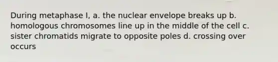 During metaphase I, a. the nuclear envelope breaks up b. homologous chromosomes line up in the middle of the cell c. sister chromatids migrate to opposite poles d. crossing over occurs