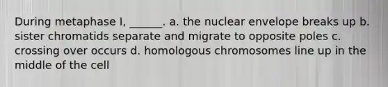 During metaphase I, ______. a. the nuclear envelope breaks up b. sister chromatids separate and migrate to opposite poles c. crossing over occurs d. homologous chromosomes line up in the middle of the cell