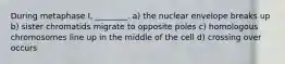 During metaphase I, ________. a) the nuclear envelope breaks up b) sister chromatids migrate to opposite poles c) homologous chromosomes line up in the middle of the cell d) crossing over occurs