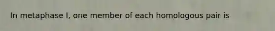 In metaphase I, one member of each homologous pair is