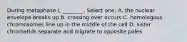 During metaphase I, ________. Select one: A. the nuclear envelope breaks up B. crossing over occurs C. homologous chromosomes line up in the middle of the cell D. sister chromatids separate and migrate to opposite poles