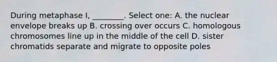 During metaphase I, ________. Select one: A. the nuclear envelope breaks up B. crossing over occurs C. homologous chromosomes line up in the middle of the cell D. sister chromatids separate and migrate to opposite poles