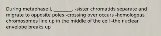 During metaphase I, ________. -sister chromatids separate and migrate to opposite poles -crossing over occurs -homologous chromosomes line up in the middle of the cell -the nuclear envelope breaks up