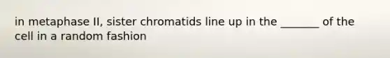 in metaphase II, sister chromatids line up in the _______ of the cell in a random fashion