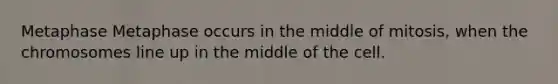 Metaphase Metaphase occurs in the middle of mitosis, when the chromosomes line up in the middle of the cell.