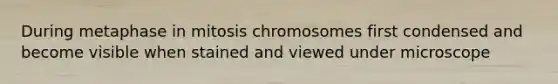 During metaphase in mitosis chromosomes first condensed and become visible when stained and viewed under microscope