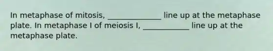 In metaphase of mitosis, ______________ line up at the metaphase plate. In metaphase I of meiosis I, ____________ line up at the metaphase plate.