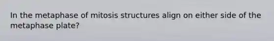 In the metaphase of mitosis structures align on either side of the metaphase plate?