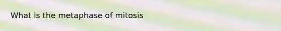 What is the metaphase of mitosis