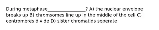 During metaphase_________________? A) the nuclear envelope breaks up B) chromsomes line up in the middle of the cell C) centromeres divide D) sister chromatids seperate