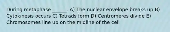 During metaphase ______. A) The nuclear envelope breaks up B) Cytokinesis occurs C) Tetrads form D) Centromeres divide E) Chromosomes line up on the midline of the cell