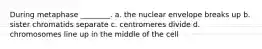 During metaphase ________. a. the nuclear envelope breaks up b. sister chromatids separate c. centromeres divide d. chromosomes line up in the middle of the cell