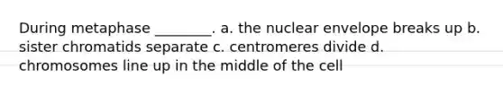 During metaphase ________. a. the nuclear envelope breaks up b. sister chromatids separate c. centromeres divide d. chromosomes line up in the middle of the cell