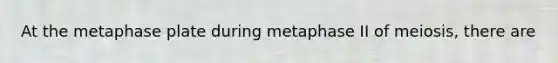 At the metaphase plate during metaphase II of meiosis, there are