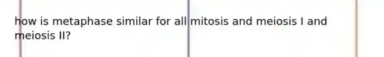 how is metaphase similar for all mitosis and meiosis I and meiosis II?