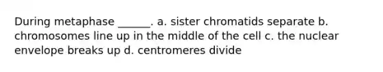 During metaphase ______. a. sister chromatids separate b. chromosomes line up in the middle of the cell c. the nuclear envelope breaks up d. centromeres divide