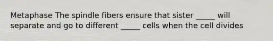 Metaphase The spindle fibers ensure that sister _____ will separate and go to different _____ cells when the cell divides