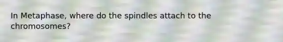 In Metaphase, where do the spindles attach to the chromosomes?