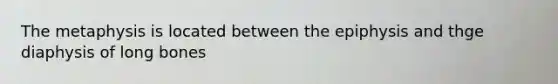 The metaphysis is located between the epiphysis and thge diaphysis of long bones