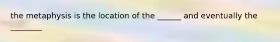 the metaphysis is the location of the ______ and eventually the ________