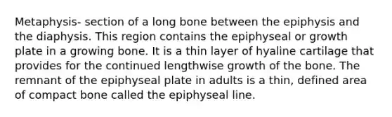 Metaphysis- section of a long bone between the epiphysis and the diaphysis. This region contains the epiphyseal or growth plate in a growing bone. It is a thin layer of hyaline cartilage that provides for the continued lengthwise growth of the bone. The remnant of the epiphyseal plate in adults is a thin, defined area of compact bone called the epiphyseal line.