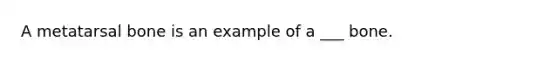 A metatarsal bone is an example of a ___ bone.