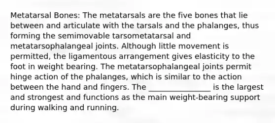 Metatarsal Bones: The metatarsals are the five bones that lie between and articulate with the tarsals and the phalanges, thus forming the semimovable tarsometatarsal and metatarsophalangeal joints. Although little movement is permitted, the ligamentous arrangement gives elasticity to the foot in weight bearing. The metatarsophalangeal joints permit hinge action of the phalanges, which is similar to the action between the hand and fingers. The ________________ is the largest and strongest and functions as the main weight-bearing support during walking and running.