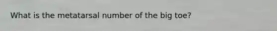 What is the metatarsal number of the big toe?