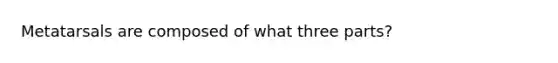 Metatarsals are composed of what three parts?