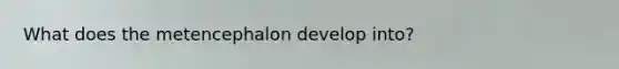 What does the metencephalon develop into?