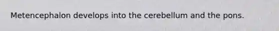Metencephalon develops into the cerebellum and the pons.