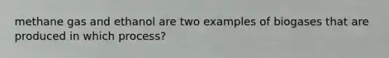 methane gas and ethanol are two examples of biogases that are produced in which process?