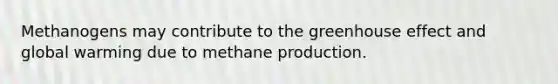 Methanogens may contribute to the greenhouse effect and global warming due to methane production.