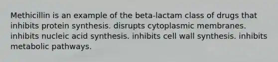 Methicillin is an example of the beta-lactam class of drugs that inhibits <a href='https://www.questionai.com/knowledge/kVyphSdCnD-protein-synthesis' class='anchor-knowledge'>protein synthesis</a>. disrupts cytoplasmic membranes. inhibits nucleic acid synthesis. inhibits cell wall synthesis. inhibits metabolic pathways.