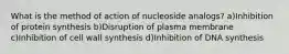 What is the method of action of nucleoside analogs? a)Inhibition of protein synthesis b)Disruption of plasma membrane c)Inhibition of cell wall synthesis d)Inhibition of DNA synthesis