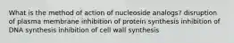 What is the method of action of nucleoside analogs? disruption of plasma membrane inhibition of protein synthesis inhibition of DNA synthesis inhibition of cell wall synthesis