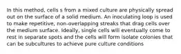 In this method, cells s from a mixed culture are physically spread out on the surface of a solid medium. An inoculating loop is used to make repetitive, non-overlapping streaks that drag cells over the medium surface. Ideally, single cells will eventually come to rest in separate spots and the cells will form isolate colonies that can be subcultures to achieve pure culture conditions