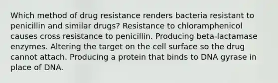 Which method of drug resistance renders bacteria resistant to penicillin and similar drugs? Resistance to chloramphenicol causes cross resistance to penicillin. Producing beta-lactamase enzymes. Altering the target on the cell surface so the drug cannot attach. Producing a protein that binds to DNA gyrase in place of DNA.