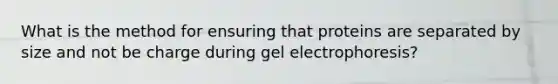 What is the method for ensuring that proteins are separated by size and not be charge during gel electrophoresis?