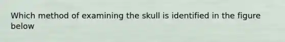 Which method of examining the skull is identified in the figure below