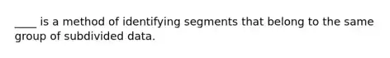 ____ is a method of identifying segments that belong to the same group of subdivided data.