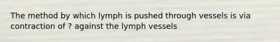 The method by which lymph is pushed through vessels is via contraction of ? against the lymph vessels