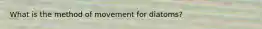 What is the method of movement for diatoms?