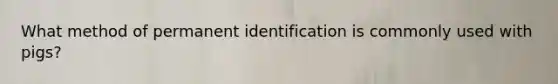 What method of permanent identification is commonly used with pigs?