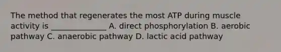 The method that regenerates the most ATP during muscle activity is ______________ A. direct phosphorylation B. aerobic pathway C. anaerobic pathway D. lactic acid pathway